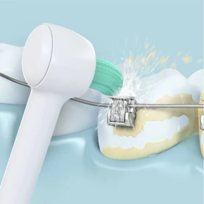 Amazon.co.jp: Iwoheal 置換 2本入 ポイント磨きノズル for Panasonic